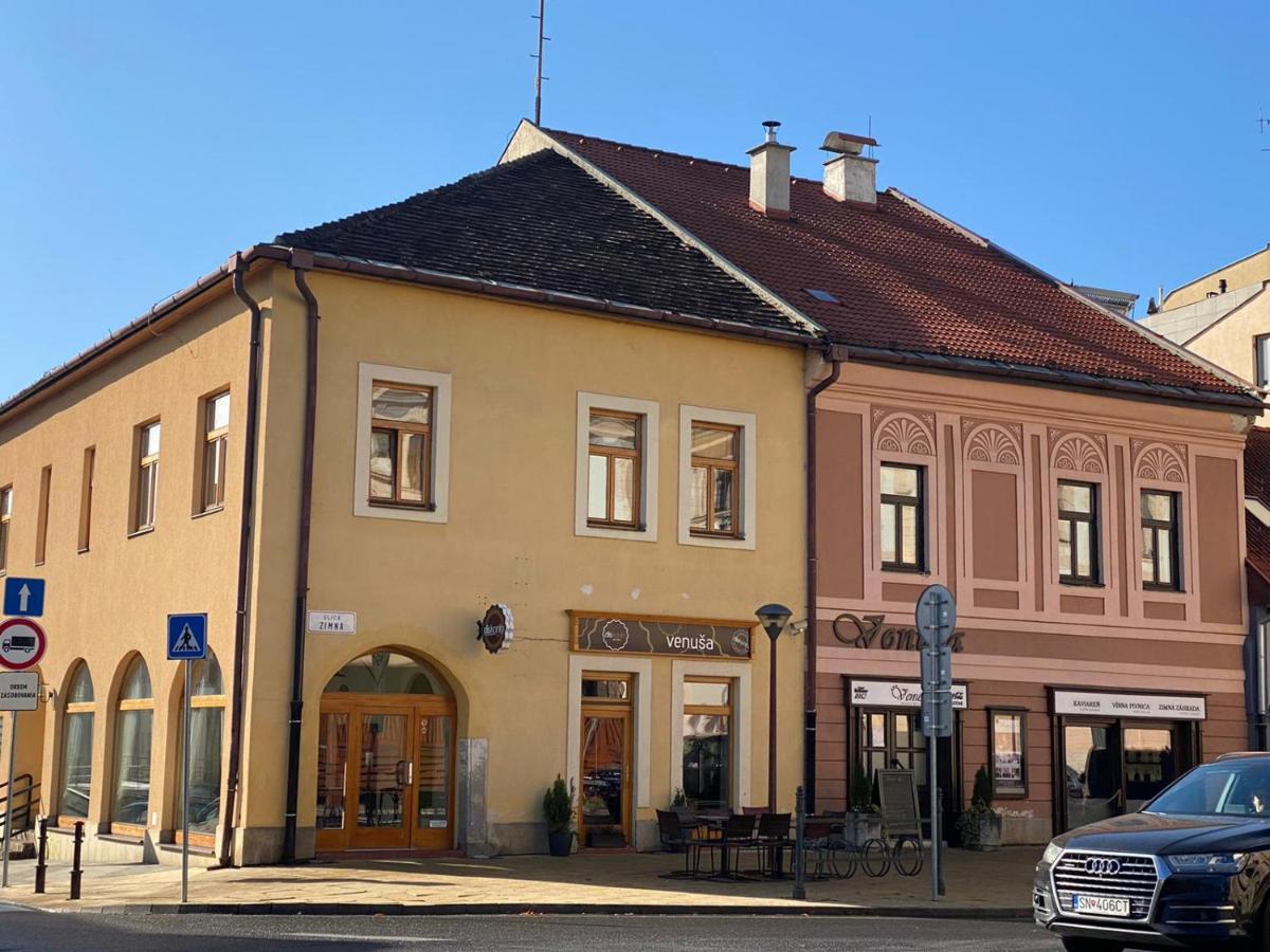 Penzion Venusa Spišská Nová Ves エクステリア 写真